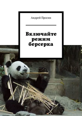 Андрей Просин Включайте режим берсерка обложка книги