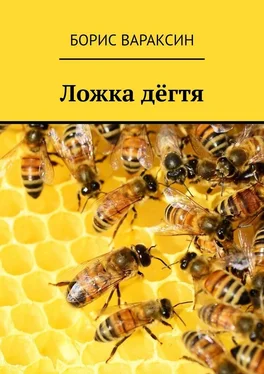 Борис Вараксин Ложка дёгтя обложка книги