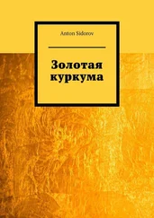 Anton Sidorov - Золотая куркума
