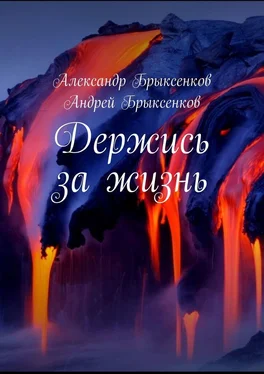 Андрей Брыксенков Держись за жизнь обложка книги