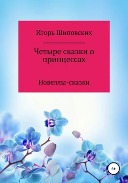 Игорь Шиповских Четыре сказки о принцессах обложка книги