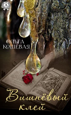 Ольга Кошевая Вишневый клей обложка книги