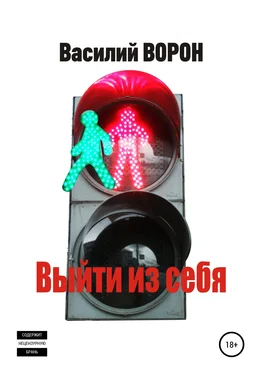 Василий Ворон Выйти из себя обложка книги