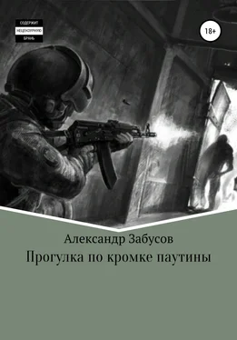 Александр Забусов Прогулка по кромке паутины обложка книги