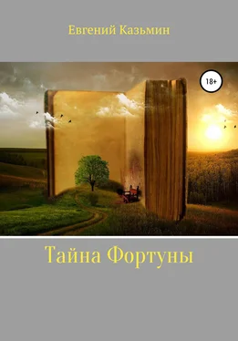 Евгений Казьмин Тайна фортуны обложка книги