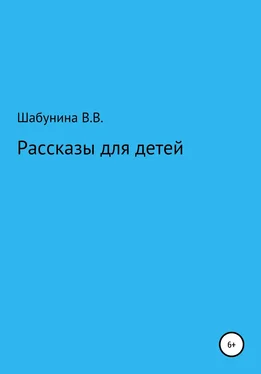 Вера Шабунина Рассказы для детей обложка книги