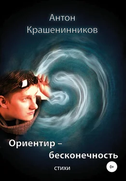 Антон Крашенинников Ориентир – бесконечность обложка книги