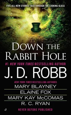 Mary Robb Down the Rabbit Hole обложка книги