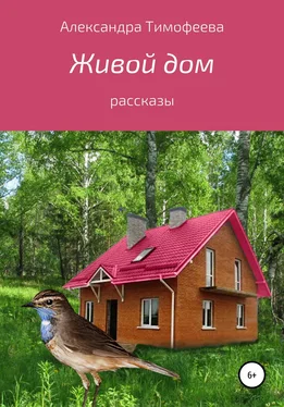 Александра Тимофеева Живой дом. Сборник рассказов обложка книги