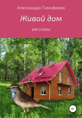 Александра Тимофеева - Живой дом. Сборник рассказов