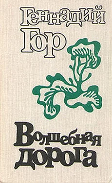 Геннадий Гор Волшебная дорога (сборник) обложка книги