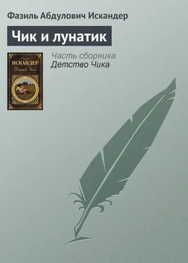 Фазиль Искандер Чик и лунатик обложка книги