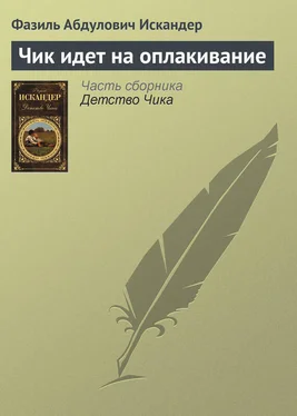 Фазиль Искандер Чик идет на оплакивание обложка книги