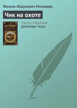 Фазиль Искандер Чик на охоте обложка книги