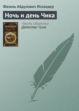 Фазиль Искандер Ночь и день Чика обложка книги