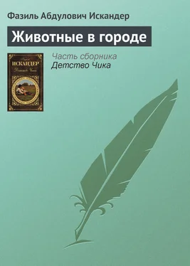 Фазиль Искандер Животные в городе обложка книги