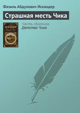 Фазиль Искандер Страшная месть Чика обложка книги