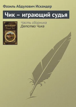 Фазиль Искандер Чик – играющий судья обложка книги