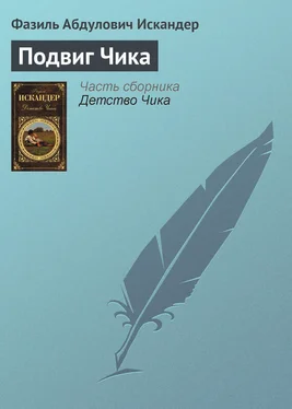 Фазиль Искандер Подвиг Чика обложка книги