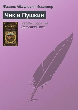 Фазиль Искандер Чик и Пушкин обложка книги
