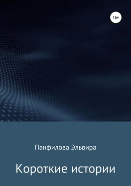 Эльвира Панфилова Короткие истории обложка книги