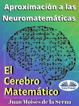 Juan Moisés De La Serna Aproximación A Las Neuromatemáticas: El Cerebro Matemático обложка книги