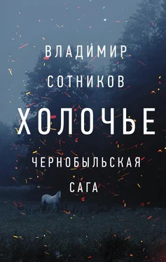 Владимир Сотников Холочье. Чернобыльская сага обложка книги