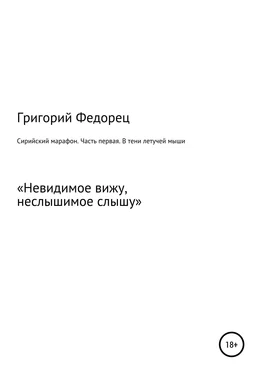 Григорий Федорец Сирийский марафон. Часть первая. В тени летучей мыши обложка книги