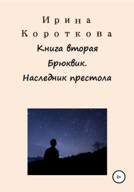 Ирина Короткова Брюквик. Книга вторая. Наследник престола обложка книги