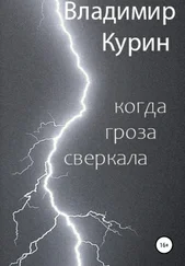 Владимир Курин - Когда гроза сверкала