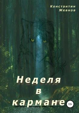 Константин Жевнов Неделя в кармане обложка книги