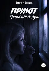 Евгения Завада - Приют брошенных душ