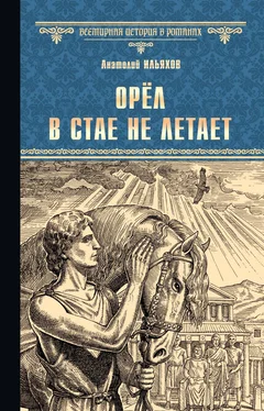 Анатолий Ильяхов Орёл в стае не летает обложка книги