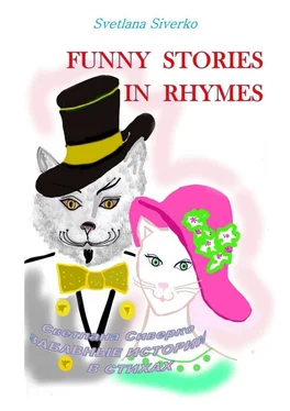 Svetlana Siverko (Светлана Сиверко) Funny Stories in Rhymes. Забавные истории в стихах обложка книги