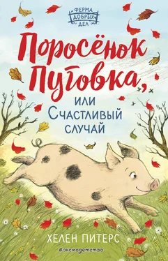 Хелен Питерс Поросёнок Пуговка, или Счастливый случай обложка книги