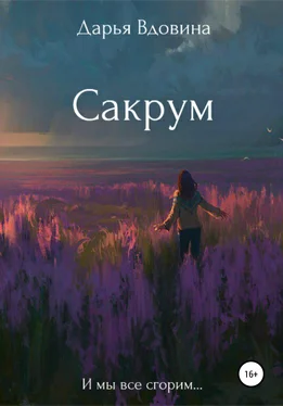 Дарья Вдовина Сакрум обложка книги