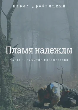 Павел Дробницкий Пламя надежды. Часть 1. Забытое королевство обложка книги