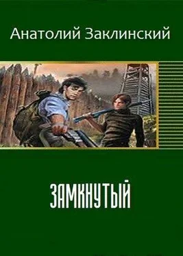 Анатолий Заклинский Замкнутый обложка книги