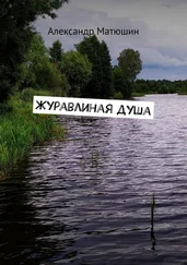 Александр Матюшин - Журавлиная душа