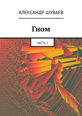 Александр Шуваев Гном. Часть 2 обложка книги