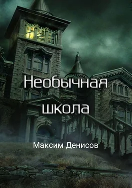 Максим Денисов Необычная школа обложка книги