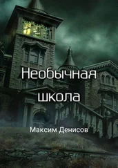 Максим Денисов - Необычная школа