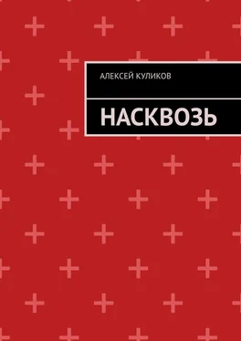 Алексей Куликов Насквозь обложка книги