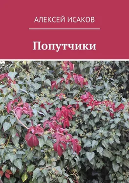 Алексей Исаков Попутчики обложка книги