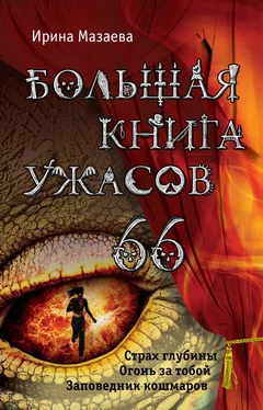 Ирина Мазаева Большая книга ужасов – 66 (сборник)