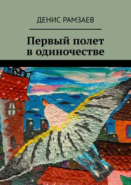 Денис Рамзаев Первый полет в одиночестве обложка книги