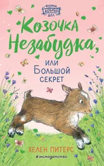 Хелен Питерс - Козочка Незабудка, или Большой секрет