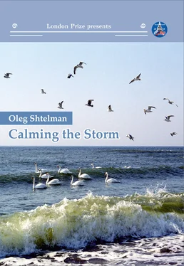 Oleg Shtelman Calming the Storm обложка книги