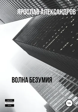 Ярослав Александров Волна безумия обложка книги