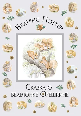 Беатрис Поттер Сказка о бельчонке Орешкине обложка книги
